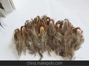 舞臺(tái)服裝輔料供應(yīng)商與批發(fā)市場全攻略 采購策略與價(jià)格解析