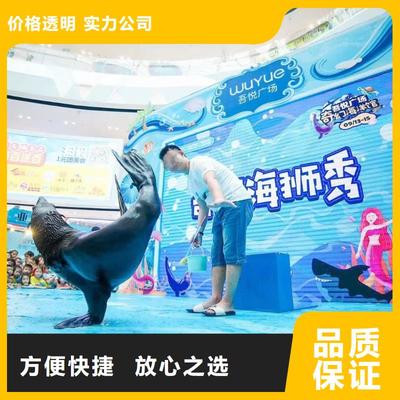 南安市分公司 專業(yè)出租表演鸚鵡，打造難忘動物展覽體驗